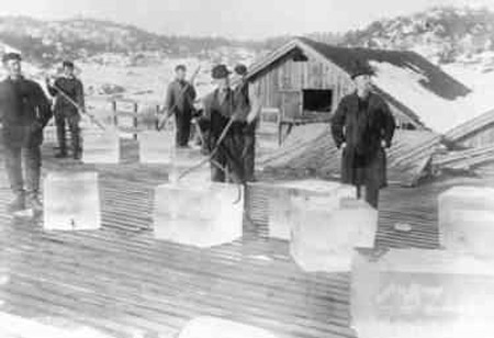 Historia del hielo